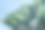 绿色的芭蕉叶孤立在白色背景与剪裁路径的设计元素，夏季背景，抽象的绿叶纹理，自然背景图片下载