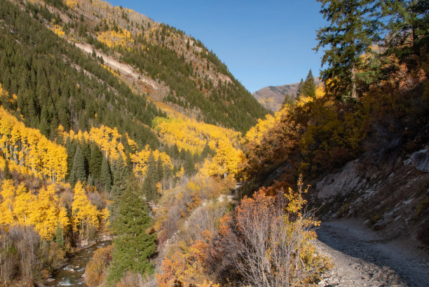陡峭，岩石4x4，一个车道狭窄的土路在落基山脉美国图片下载