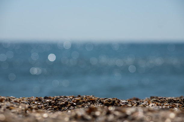沙滩上的贝壳。夏天海滩背景。俯视图图片下载