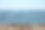 沙滩上的贝壳。夏天海滩背景。俯视图图片下载
