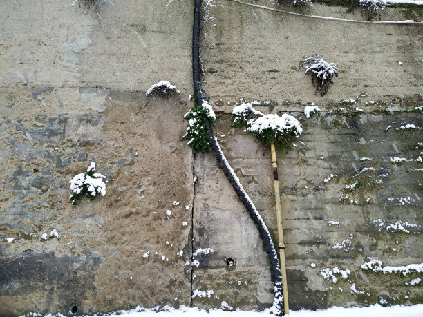 冬天，城墙、电缆和一些植物被雪覆盖图片下载