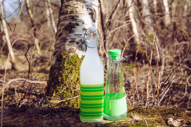 健康发酵3天桦树汁饮料，颜色白色。用面粉、糖和普通的新鲜桦树汁在清瓶中发酵。背面是桦树。图片下载