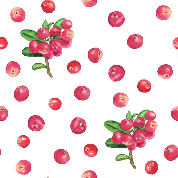 水彩画越橘无缝图案在白色背景。水彩手绘插图。越橘墙纸。图片下载