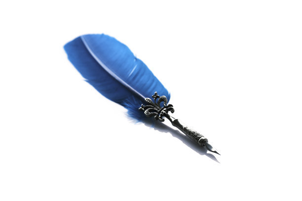 美丽的羽毛笔在白色的背景图片下载