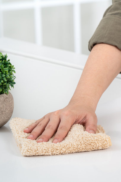 家庭主妇正在家里厨房里做春季大扫除。图片下载