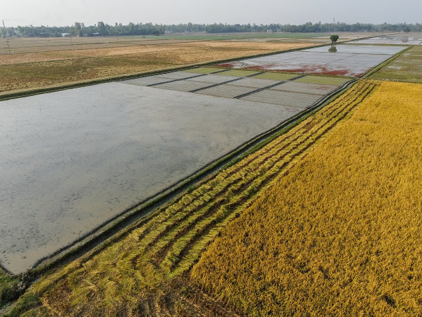 从空中俯瞰丹盖尔马胡布尔的农田图片下载