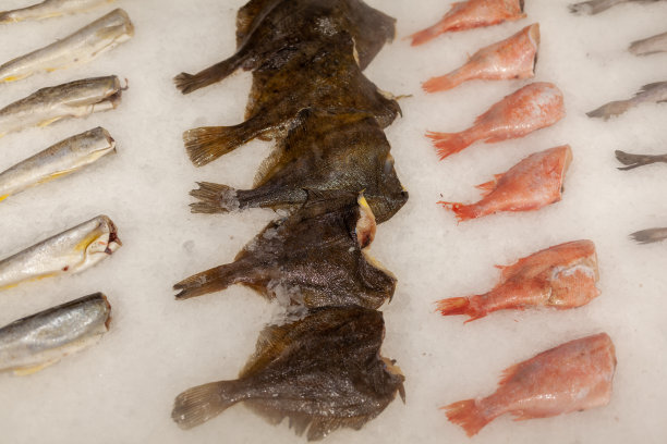 商店或市场柜台上的冰鲜海鱼图片下载