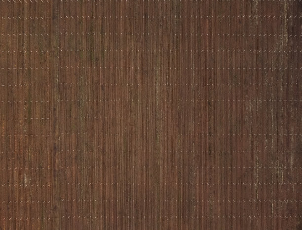 从无人机上俯瞰葡萄园土地图片下载