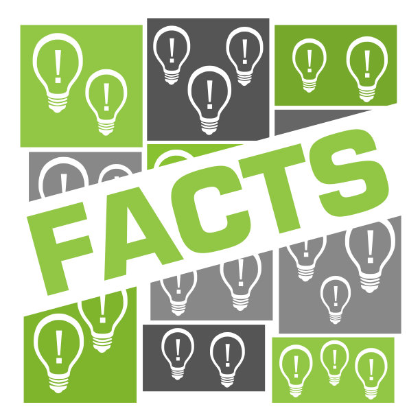 事实绿色灰色灯泡网格徽章风格图片下载