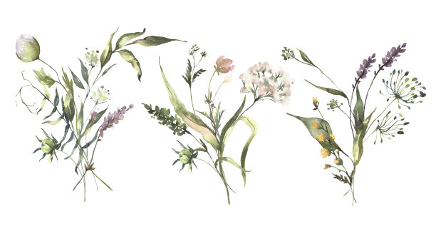 水彩盛夏花束集用手绘精致的叶子、花朵。浪漫的花卉安排完美的婚礼贺卡，邀请图片下载