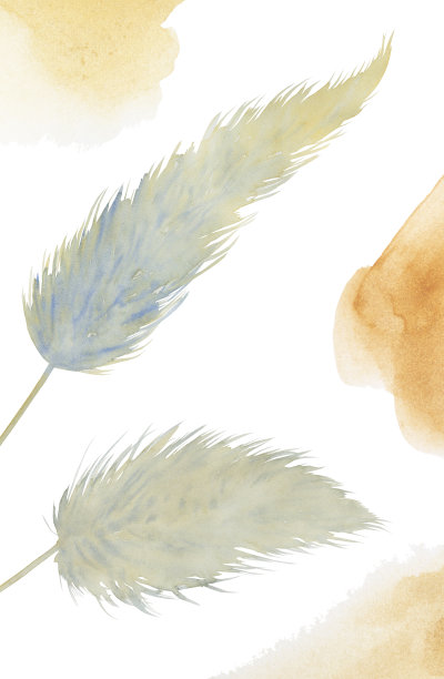 水彩手绘潘帕斯草插图米色抽象点。墙艺术。波希米亚风格的室内绘画。现代风格的植物图片。背景的邀请图片下载