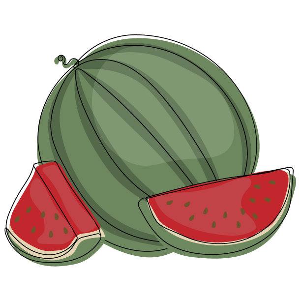 西瓜。成熟的西瓜和多汁的块的彩色插图图片下载
