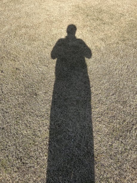 影子是存在的反映图片下载