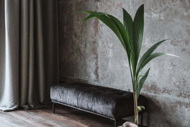 深灰色客厅设计-室内细节。乙烯基地板与墙上装饰的陶瓷板、柔软的窗帘和椰子树旁柔软的软垫很相配。图片下载