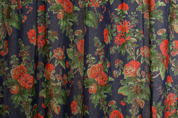 蓝色窗帘与花孤立的背景关闭图片下载