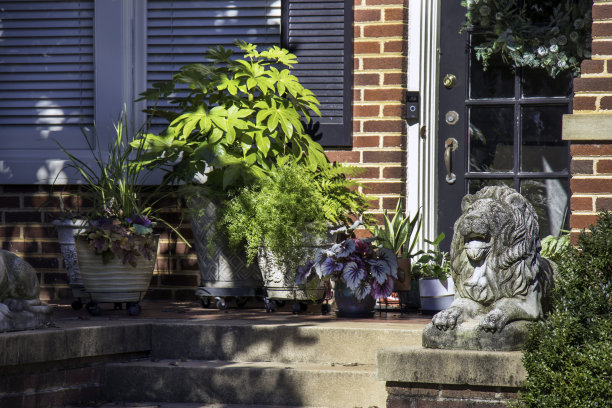 一只风化的混凝土狮子守卫着一座殖民地时期砖砌房屋的正门。图片下载
