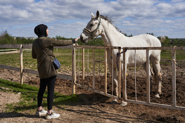 一个年轻的女人在围场里抚摸着一匹美丽的白马图片下载