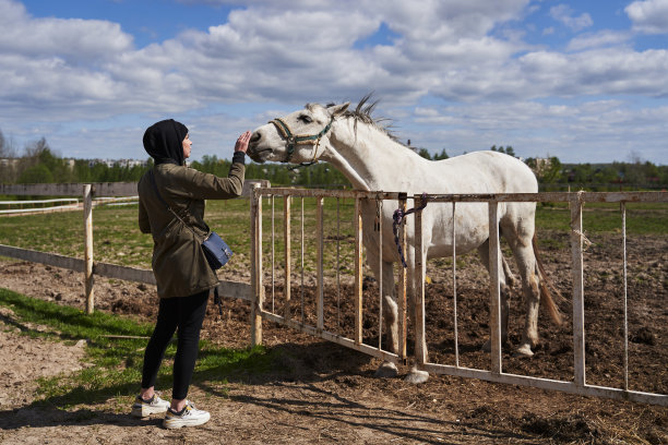 一个年轻女人抚摸着畜栏里一匹美丽的白马的脸图片下载
