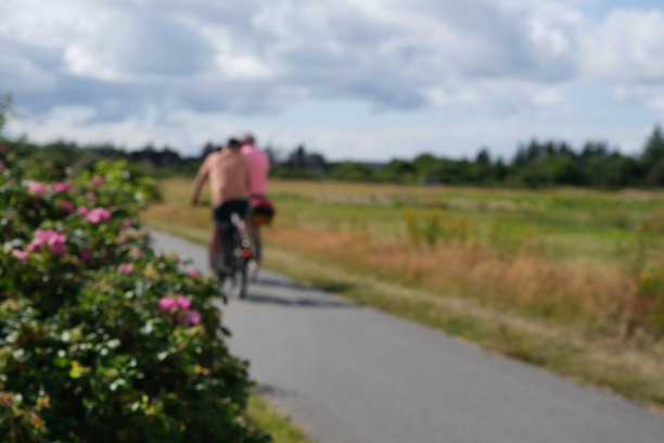 背景图片，无焦点:两个骑自行车的人在夏天美丽的自然中骑在一条发展良好的自行车道上，选择性的焦点，在前景的大量复制空间图片下载