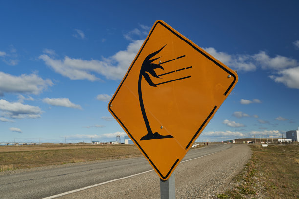 在南美巴塔哥尼亚的火地岛上，有一个黄色和黑色的路标，上面有一棵棕榈树，在强风中倾斜，警告风暴图片下载