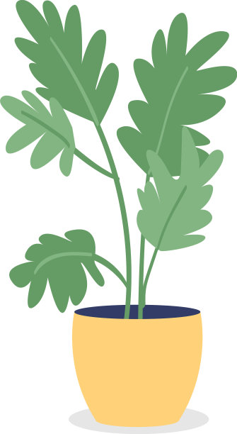 室内植物为卧室半平面颜色对象图片下载