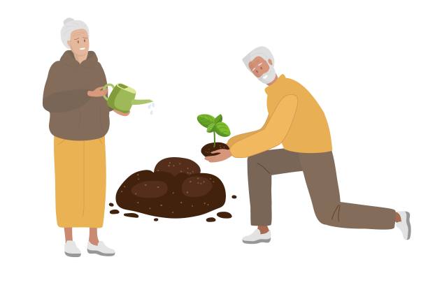 一位老妇人正在从湖中浇灌地上的小苗。白人老妇人拿着浇水罐照顾植物。爱好园艺、养花。的爱好。卡通平面矢量插图图片下载