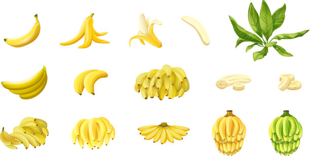 香蕉图标集卡通猴皮图片下载