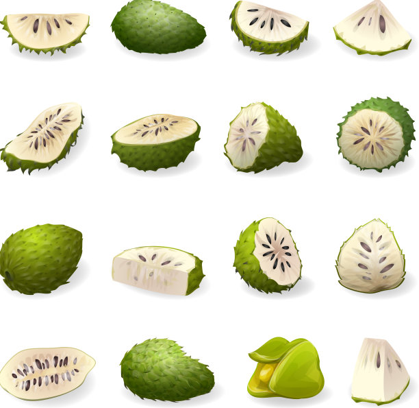 Soursop图标设置卡通annona muricata图片下载