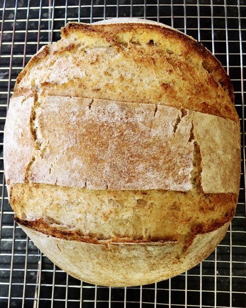 社交媒体上的美食潮流图片下载