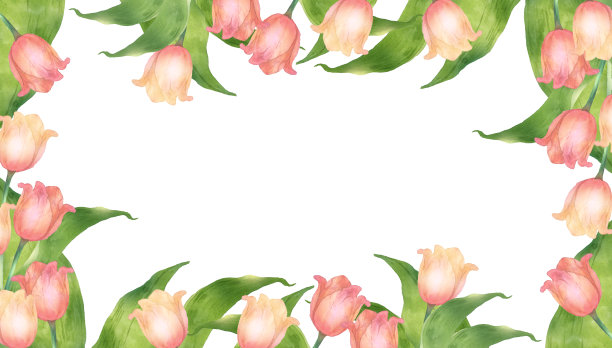 水彩粉红色郁金香花装饰图片下载