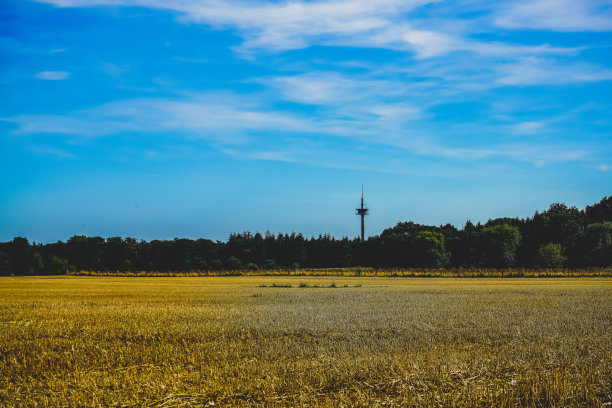 森林旁边的一片干燥的田野，背景中有一座塔。图片下载