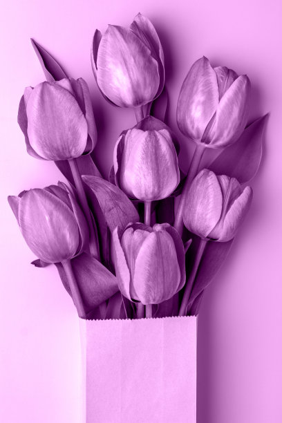 纸包装的郁金香花束的创意构图。图片下载