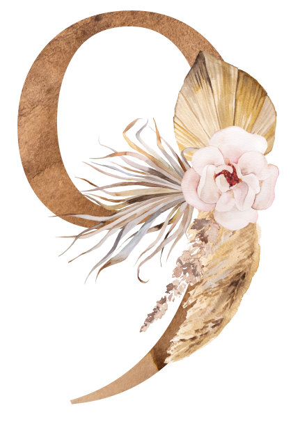 水彩9号装饰干燥的叶子和热带花朵，波希米亚插图图片下载