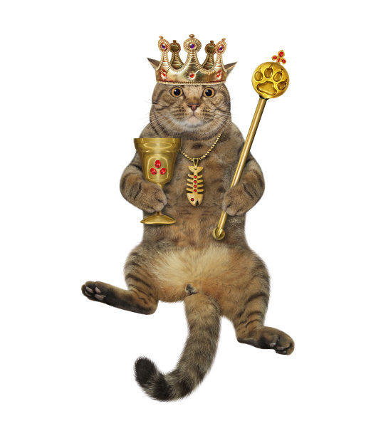 戴王冠的猫拿着杯子和权杖坐着图片下载
