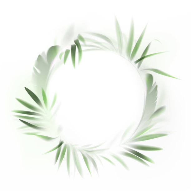 矢量圆形框架与现实棕榈和芭蕉叶在雾图片下载