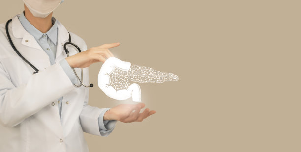 无法辨认的医生手里拿着突出的手胰腺。医学插画，模板，科学模型。图片下载