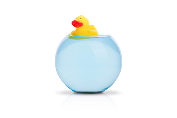 水族馆里的黄色鸭子图片下载