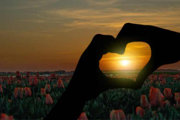 德国的大规模园艺图片下载