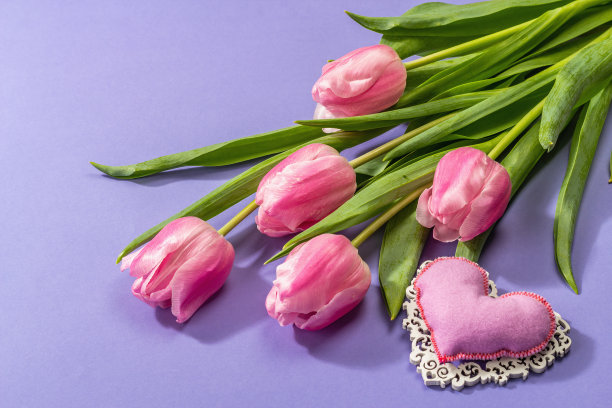 鲜花组成，一束粉红色的郁金香，孤立在一个玫瑰的背景图片下载