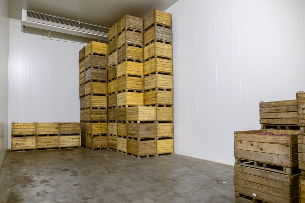 生产设施大型仓库-农作物的分级、包装和储存。图片下载