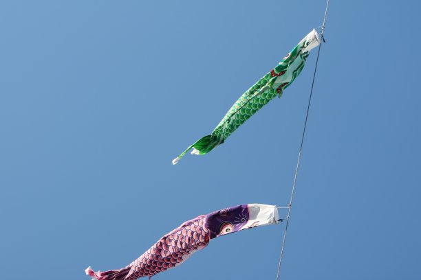 鲤鱼形状的飘带图片下载