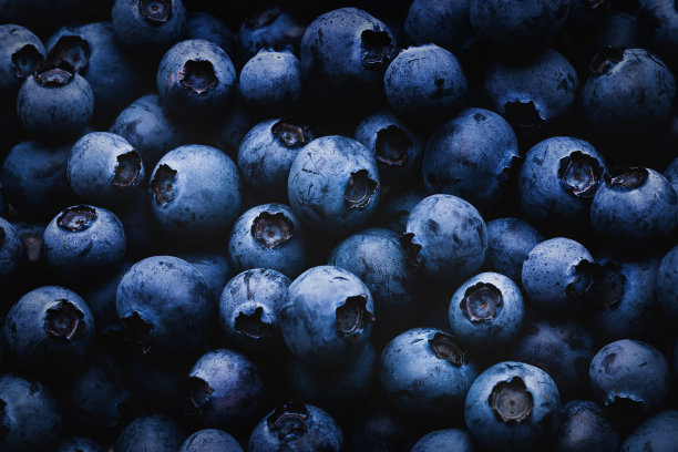蓝莓黑色背景与阴影和光图片下载