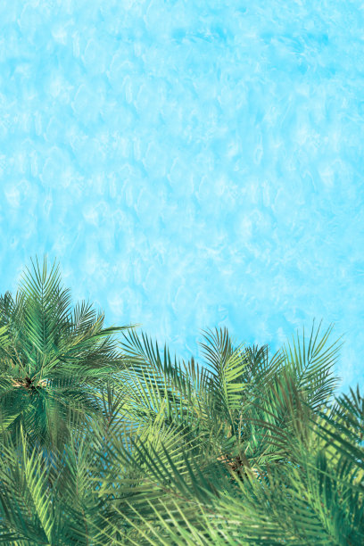 热带夏季豪华酒店泳池与棕榈树航拍竖版照片图片下载