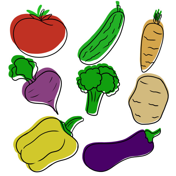 蔬菜和素食的集合，黑色轮廓的彩色图片图片下载