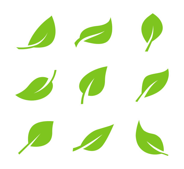 设置绿色的叶子图标。叶子图标。树木和植物的叶子。收集绿叶。元素设计的自然，生态，生物，素食标签。矢量插图。图片下载