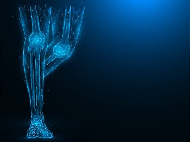 人类腿的多边形矢量插图。踝关节和膝关节的解剖结构概念。未来医学旗帜，模板或背景。图片下载