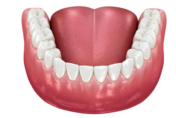 人的下颌牙龈和牙齿。医学上精确的牙齿3D插图图片下载