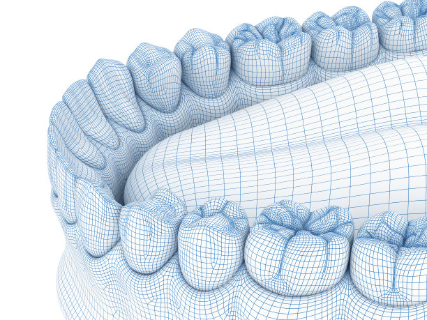 人类下颌牙龈和牙齿的形态。电线三维模型插图图片下载