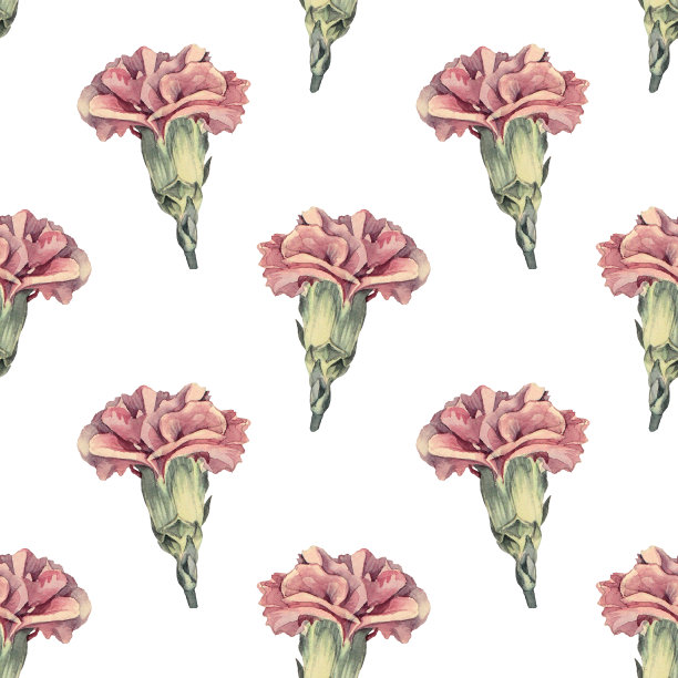 无缝图案水彩紫色康乃馨在白色背景。手绘春夏季粉红丁香庆祝。创造性的古董剪纸为花店壁纸包装速写本图片下载