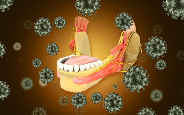 上颌和下颌骨结构解剖。三维演示图片下载